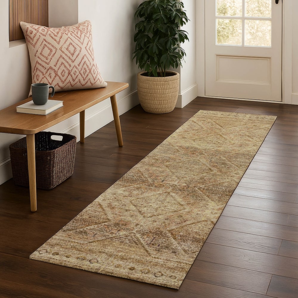Premium Washable Super Soft Boho Moroccan Mayfield Rug
