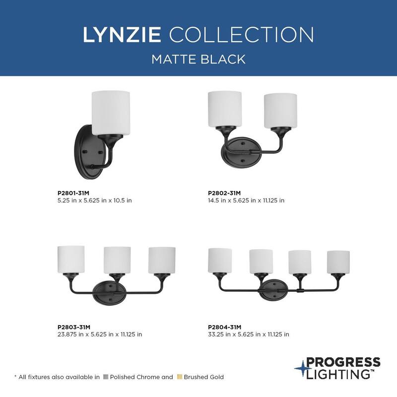 Lynzie Collection One-Light Matte Black Etched Opal Glass Modern Bath Vanity Light - 5.25 in x 5.625 in x 10.5 in