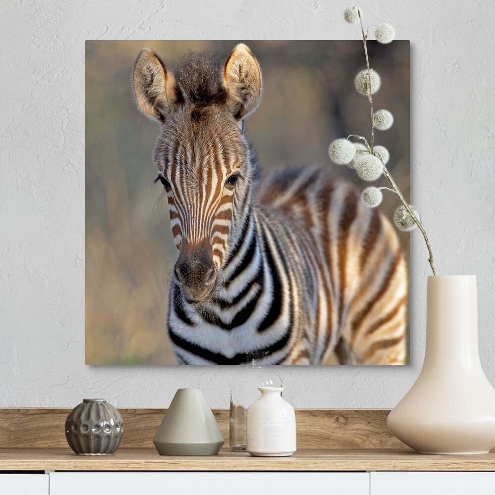 wall decor south africa