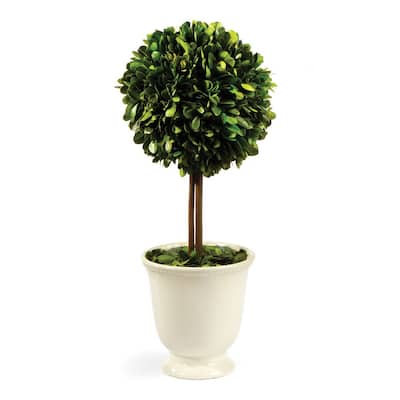 Boxwood Topiary In Beaded White Pot - Green