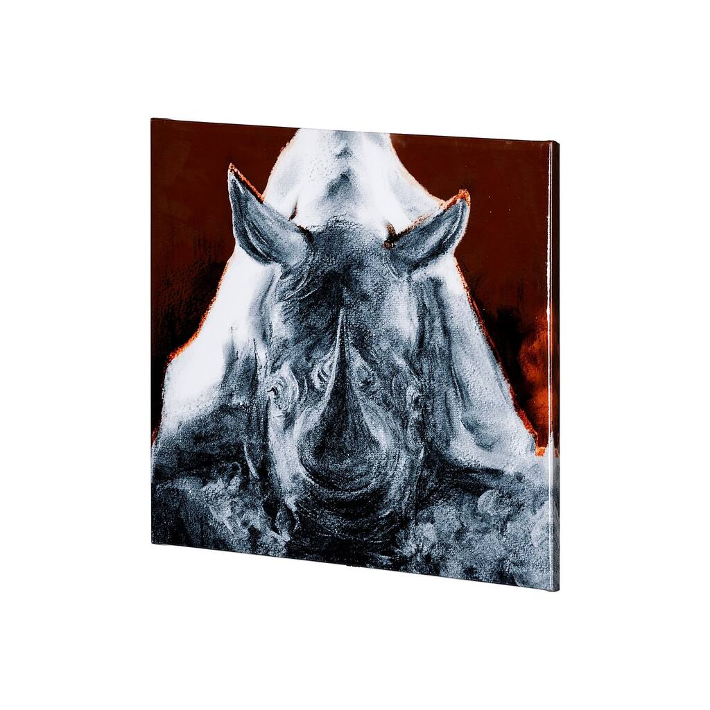 Rhino Burn Orange (30 x 30) Canvas Art Print