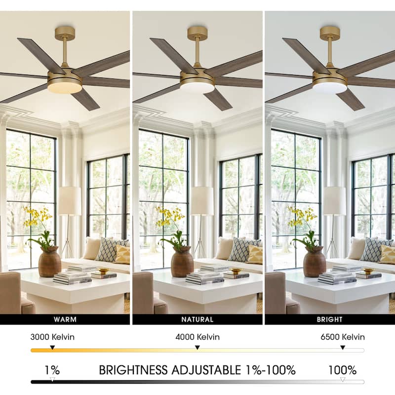 60" Transitional Brass Reversible Blades Smart Ceiling Fan with Dimmable LED Light and Remote