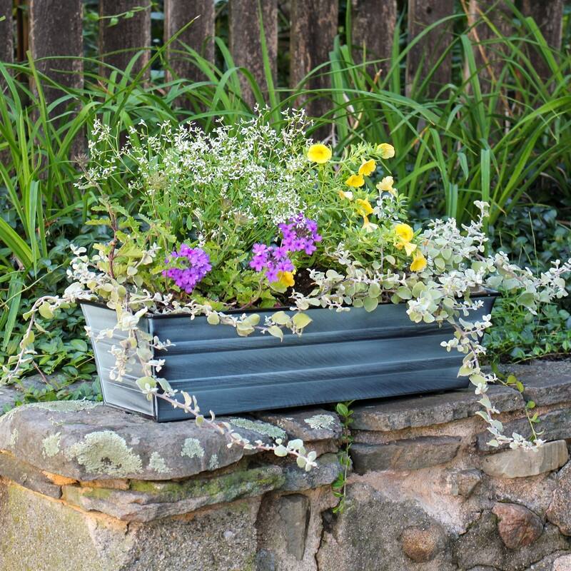 Achla Designs Small Galvanized Steel Flower Box Planter, 22 Inch Wide