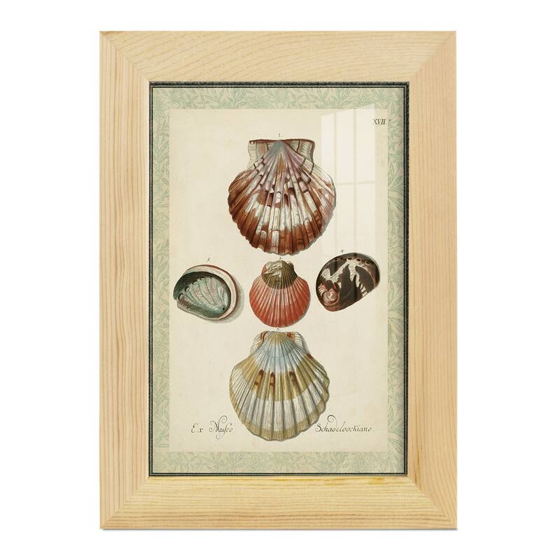 Bookplate Shells III -Framed Print w/glass-Cherry Red