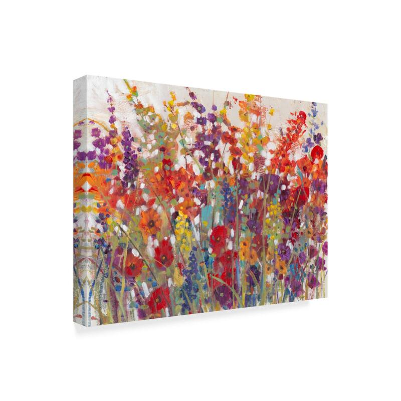 Tim Otoole 'Variety Of Flowers Ii' Canvas Art