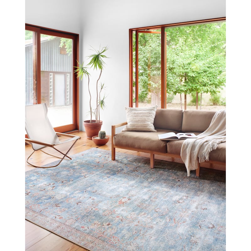 Alexander Home Sophia Printed Shabby Chic Area Rug