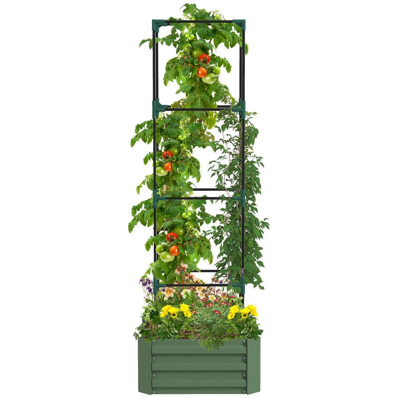 Modern Minimalist Garden Bed with Tomato Cage and Open Bottom, for Climbing Vines Vegetables Garden Patio, Green - 8' x 10' - Green