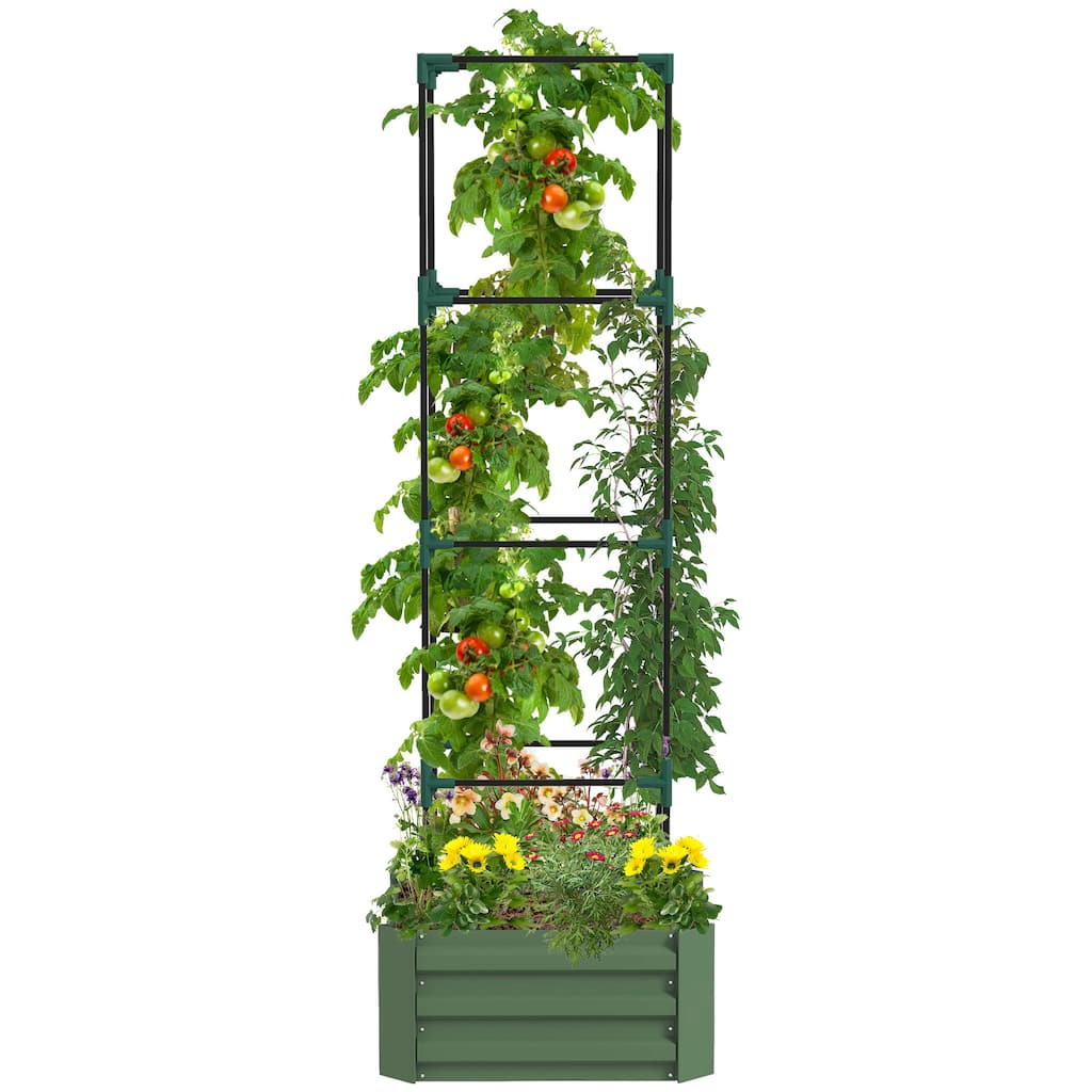 Modern Minimalist Garden Bed with Tomato Cage and Open Bottom, for Climbing Vines Vegetables Garden Patio, Green - 8' x 10'