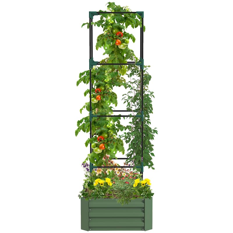 Outsunny Galvanized Raised Garden Bed, 24" x 24" x 11.75" Outdoor Planter Box with Trellis Tomato Cage and Open Bottom