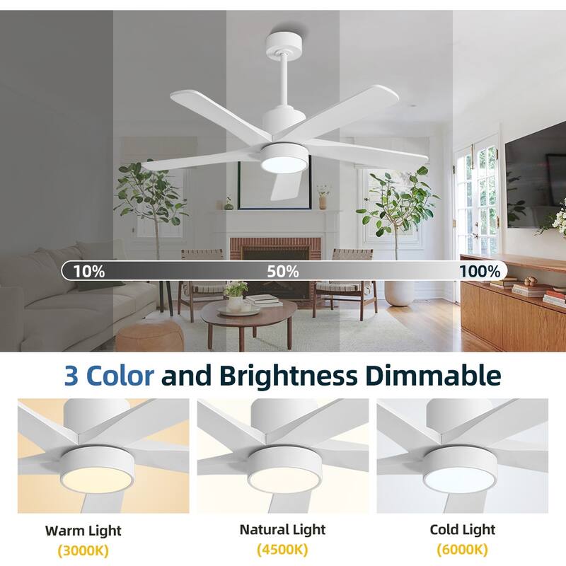 WINGBO 54" and 64" 5 ABS Blades DC Motor Indoor Ceiling Fan with Light & Remote
