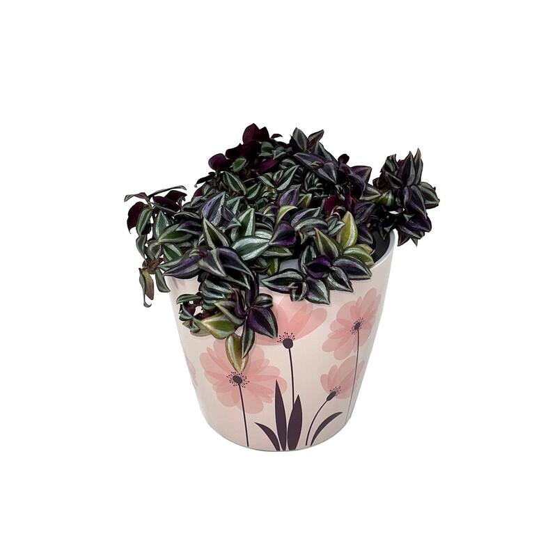 7" Round Self-Watering Indoor/Outdoor Bamboo Pots