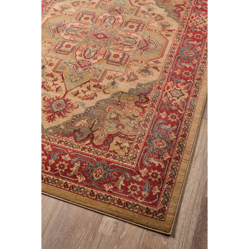 Momeni Ghazni Traditional Medallion Area Rug