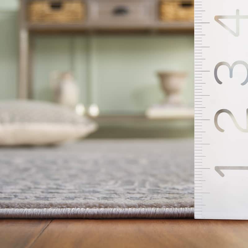 SAFAVIEH Reflection Elzada Oriental Rug