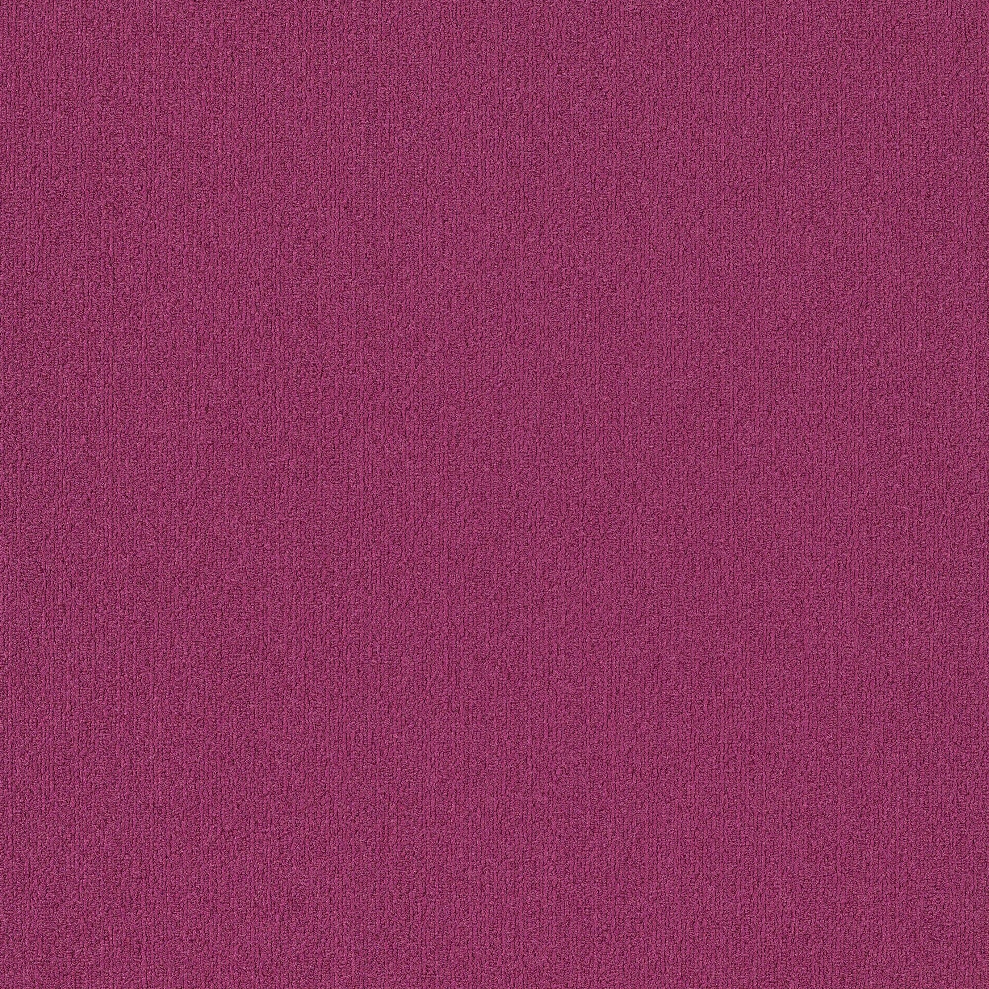 Shaw Philadelphia Commercial Color Accents TL 24" x 24" Glue Down