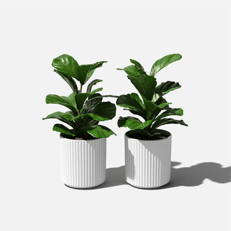 Veradek Demi Series Demi Round Planter