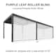 Option Roller Blinds Only