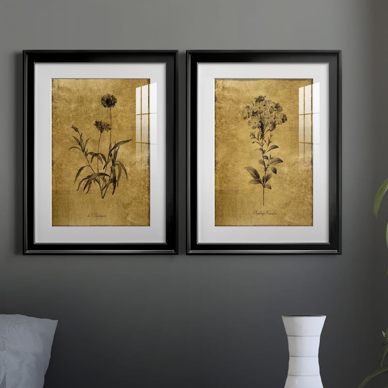 Gold Sketch Botanical I Premium Framed Print - Ready to Hang