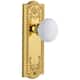 Option Lifetime Brass