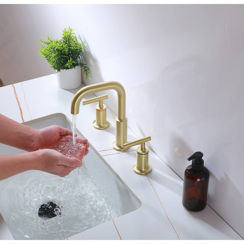 Indigo Home 8 inch Widespread Double Handle Bathroom Faucet