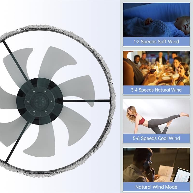 24" Decorative LED Ceiling Fan Light