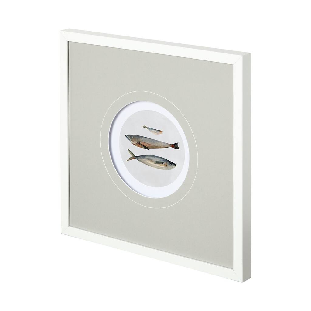 Three Fish II Framed Art Print