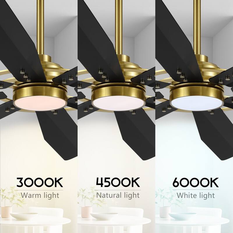 MLiAN 60/72 inch 8 Blades Indoor LED Ceiling Fan with Remote control