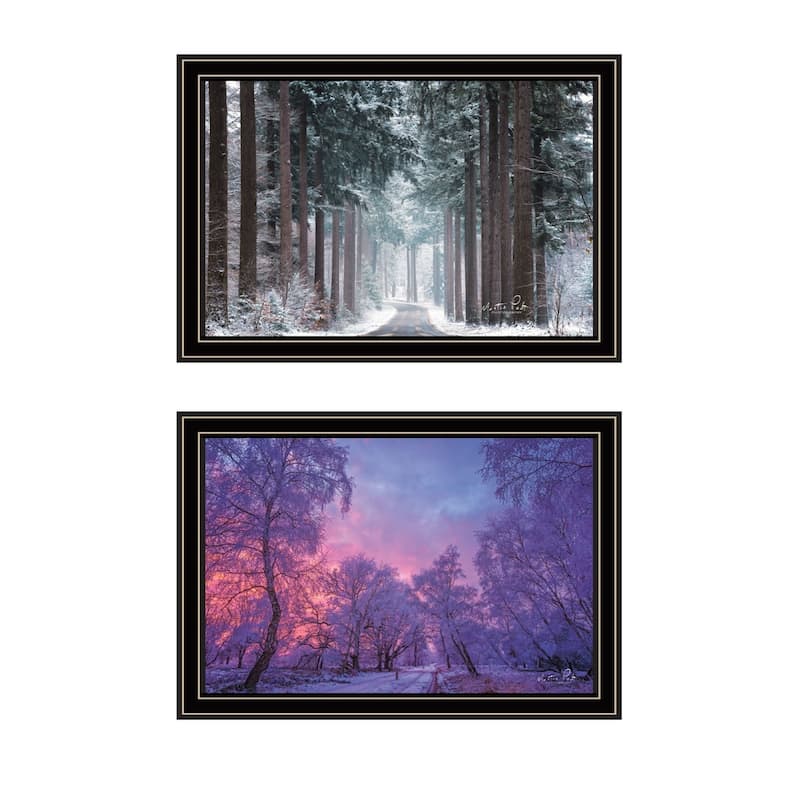 Trendy Decor 4U "Winter Wonderland" Printed Framed Wall Art by Martin Podt - Multi - 20 x 14