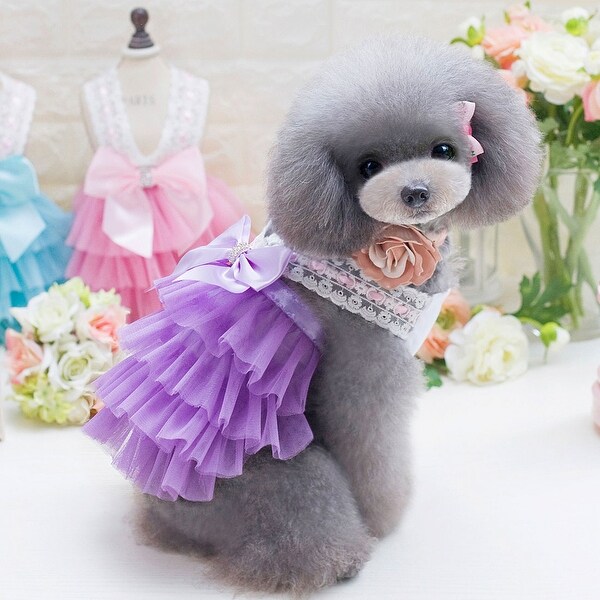 small pet clothes