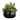 Uttermost Mico Indoor-Outdoor Succulent Centerpiece - 20.5"D x 20.5"W x 17.75"H
