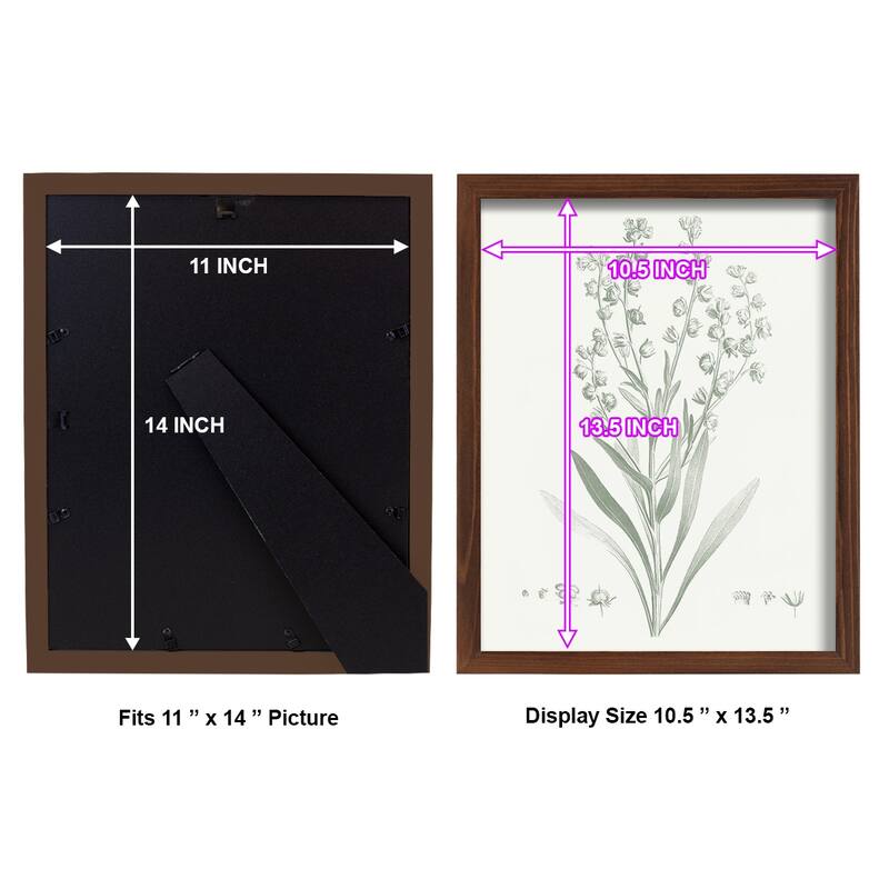 Botanical Study in Sage I -Framed Print w/glass-Cherry Red