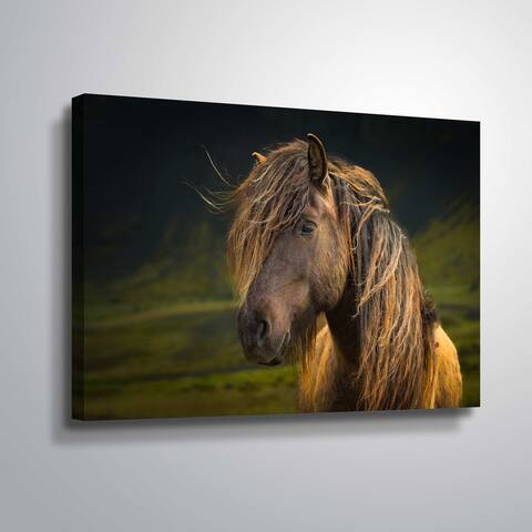 "Born to be wild" Gallery Wrapped Canvas