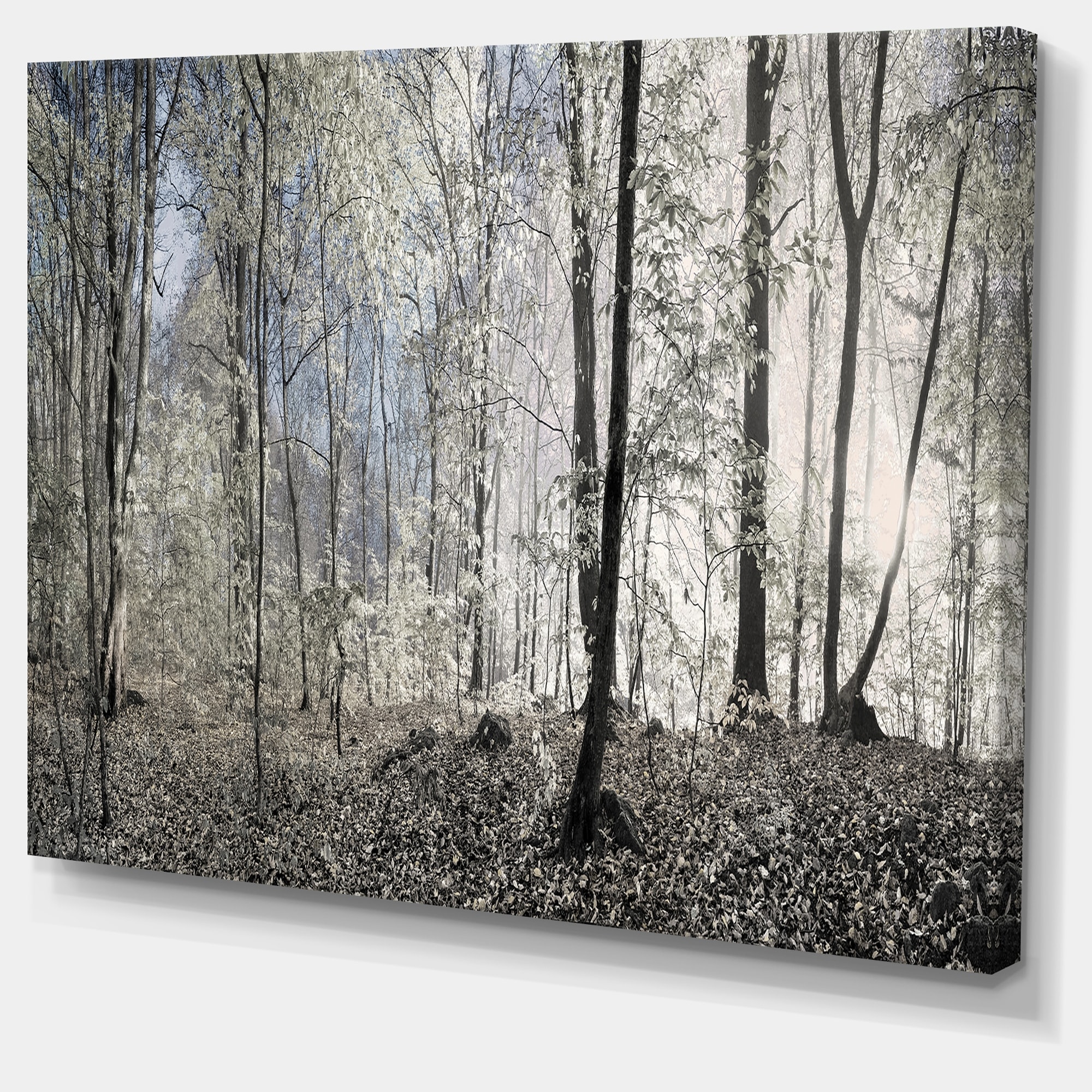 https://ak1.ostkcdn.com/images/products/is/images/direct/b736c16523aa7d7f8ffd5bdf746ba82d9a6200c6/Designart-%27Dark-Morning-in-Forest-Panorama%27-Landscape-Large-Canvas-Art-Print.jpg
