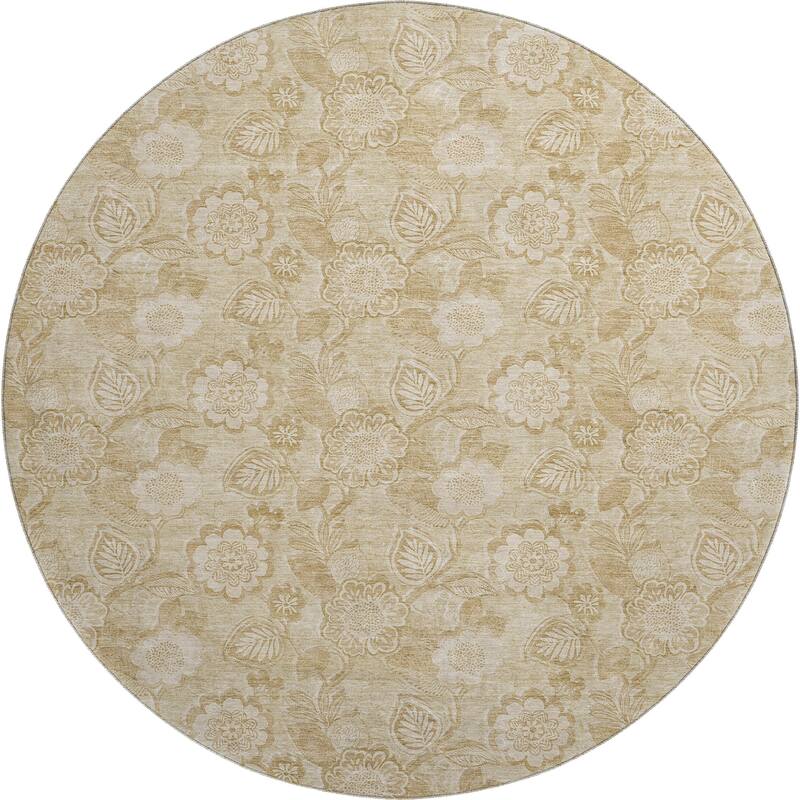 Premium Washable Super Soft Traditional Mayfield Rug