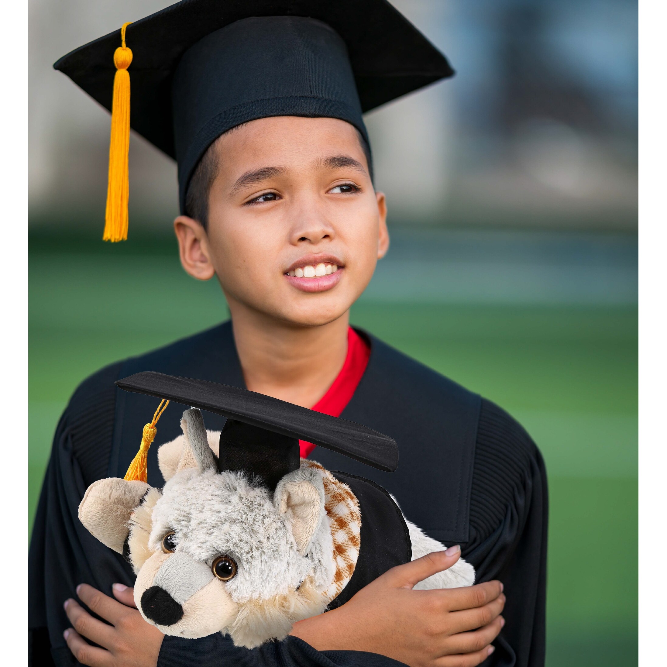 DolliBu Lying Wolf Graduation Plush Toy with Gown and Cap with Tassel 9 inches Bed Bath Beyond 39644917