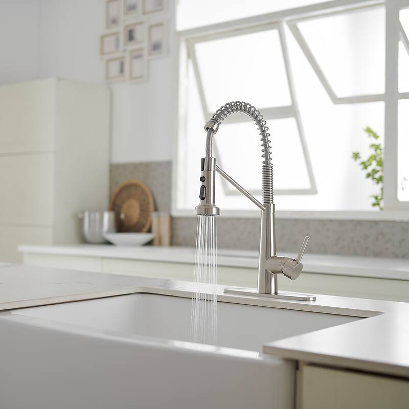 WIZ Single-Handle Pull-Down Sprayer 2 Spray High Arc Kitchen Faucet