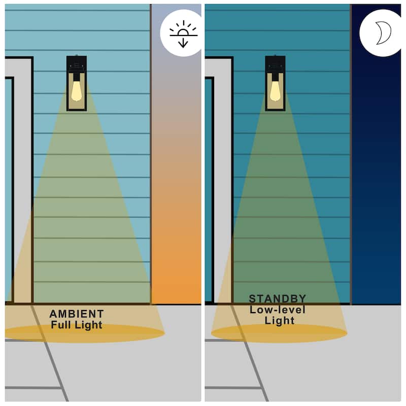 C Cattleya 2-Pack Matte Black Dusk to Dawn Outdoor Wall Lights