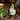Gnome Folding Hands Looking Up Garden Statue