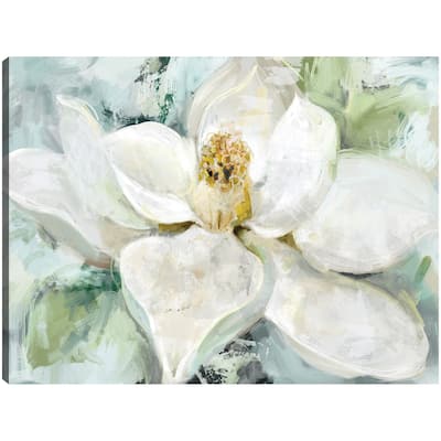 Morning Magnolia By Studio Arts Canvas Art Print