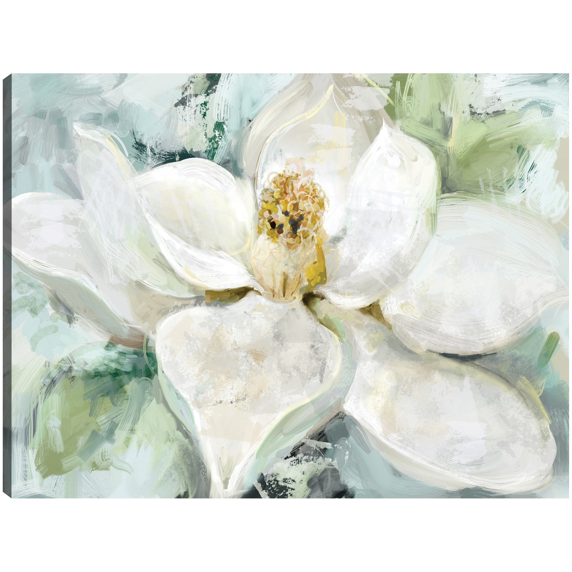 Morning Magnolia By Studio Arts Canvas Art Print