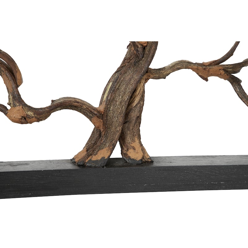 Teak Wood Tree Branch Wall Decor with Black Frame - Brown - Roche River Decor