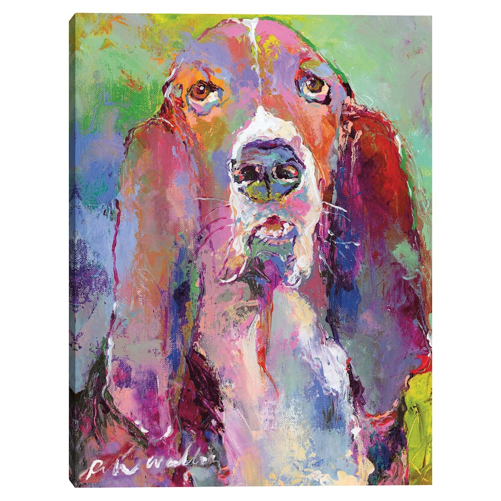 Art Basset Hound Canvas Art Print