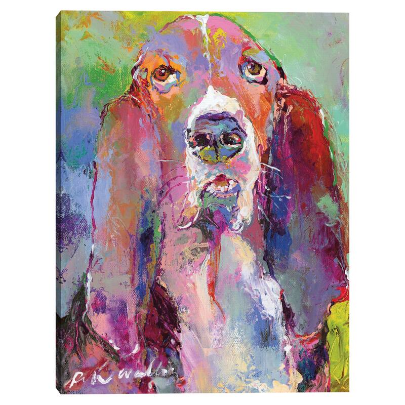 Art Basset Hound Canvas Art Print