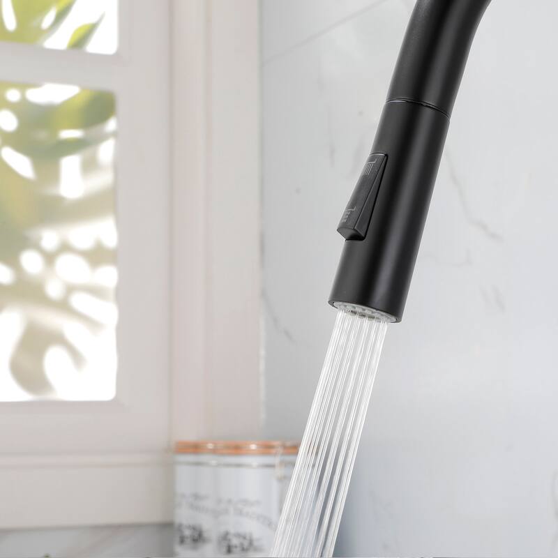 2-Function 1-Handle Pulldown Kitchen Faucet