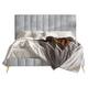 Option Silver Grey