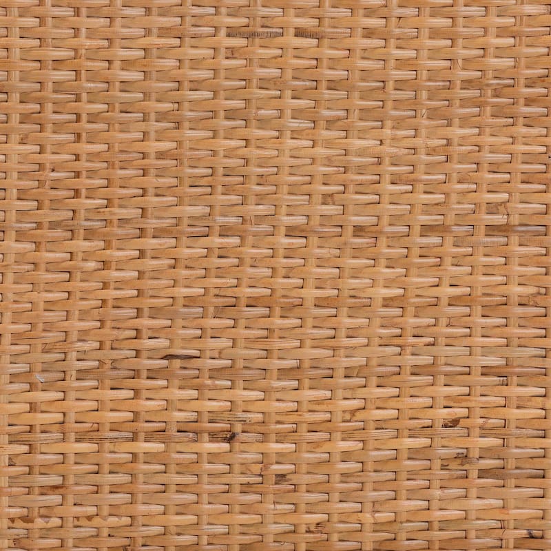 Mortis Natural Rattan Display Shelf with 2-Door Storage Cabinet - Coastal Boho Wicker Bookcase or Hutch for Living Room