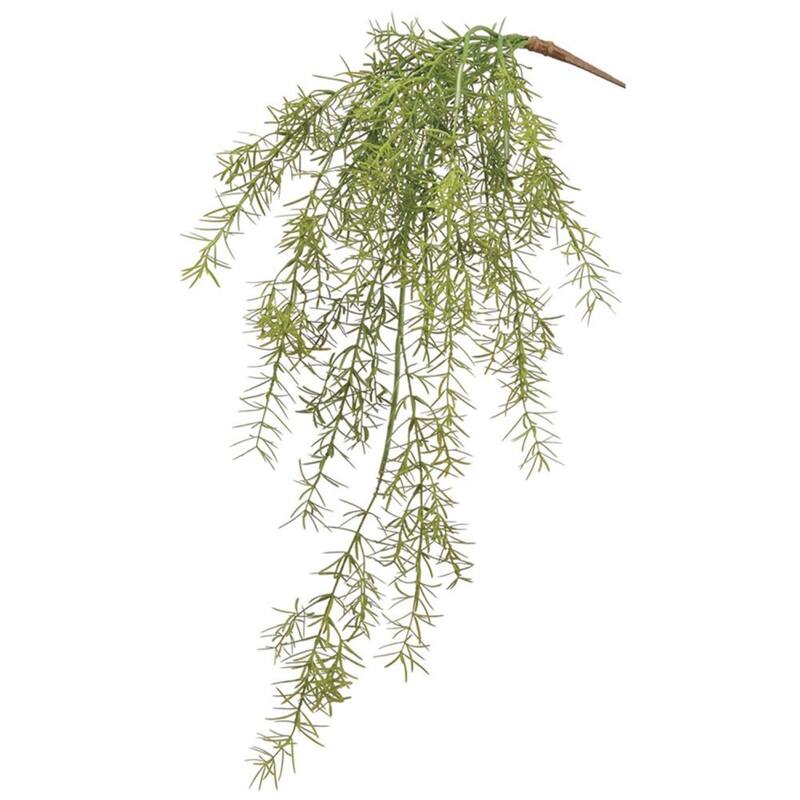 Soft Sprengeri Artificial Hanging Spray - 26" - Green