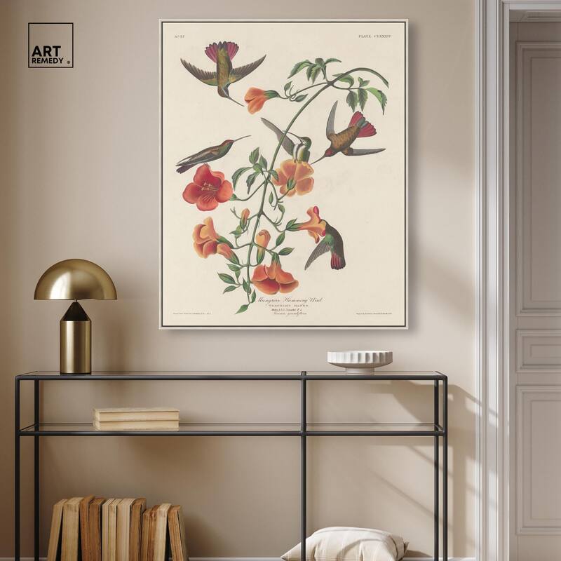 Humming Bird 1834 Canvas by Art Remedy