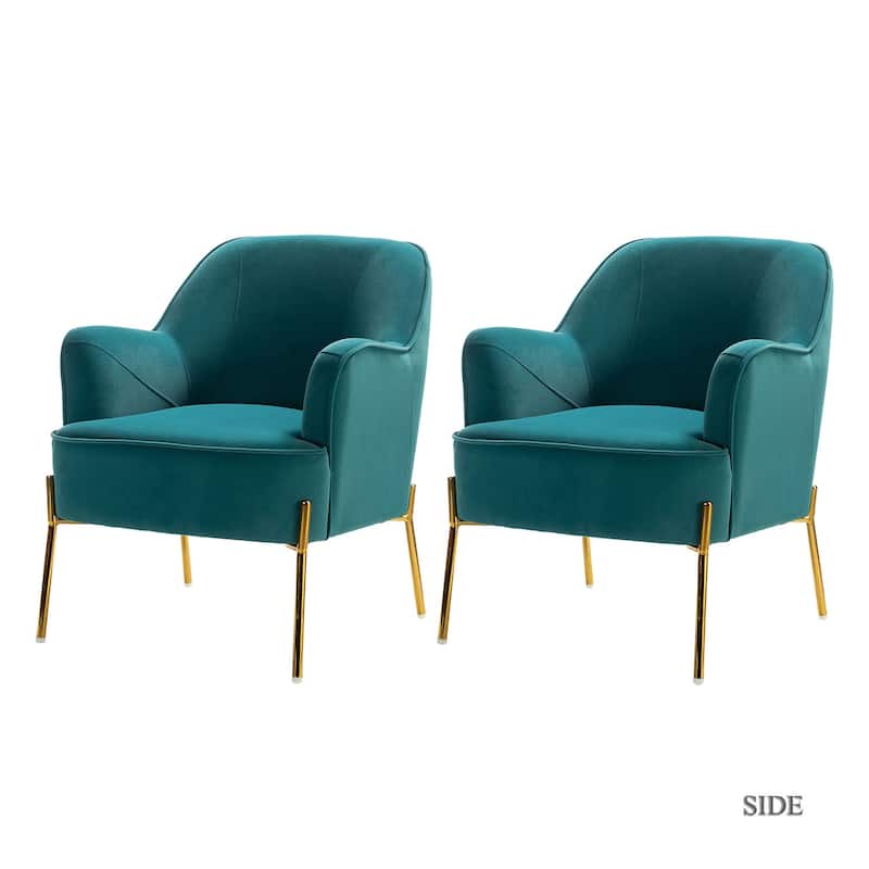 Marina Modern Velvet Accent Chair with Golden Legs Set of 2 by HULALA HOME