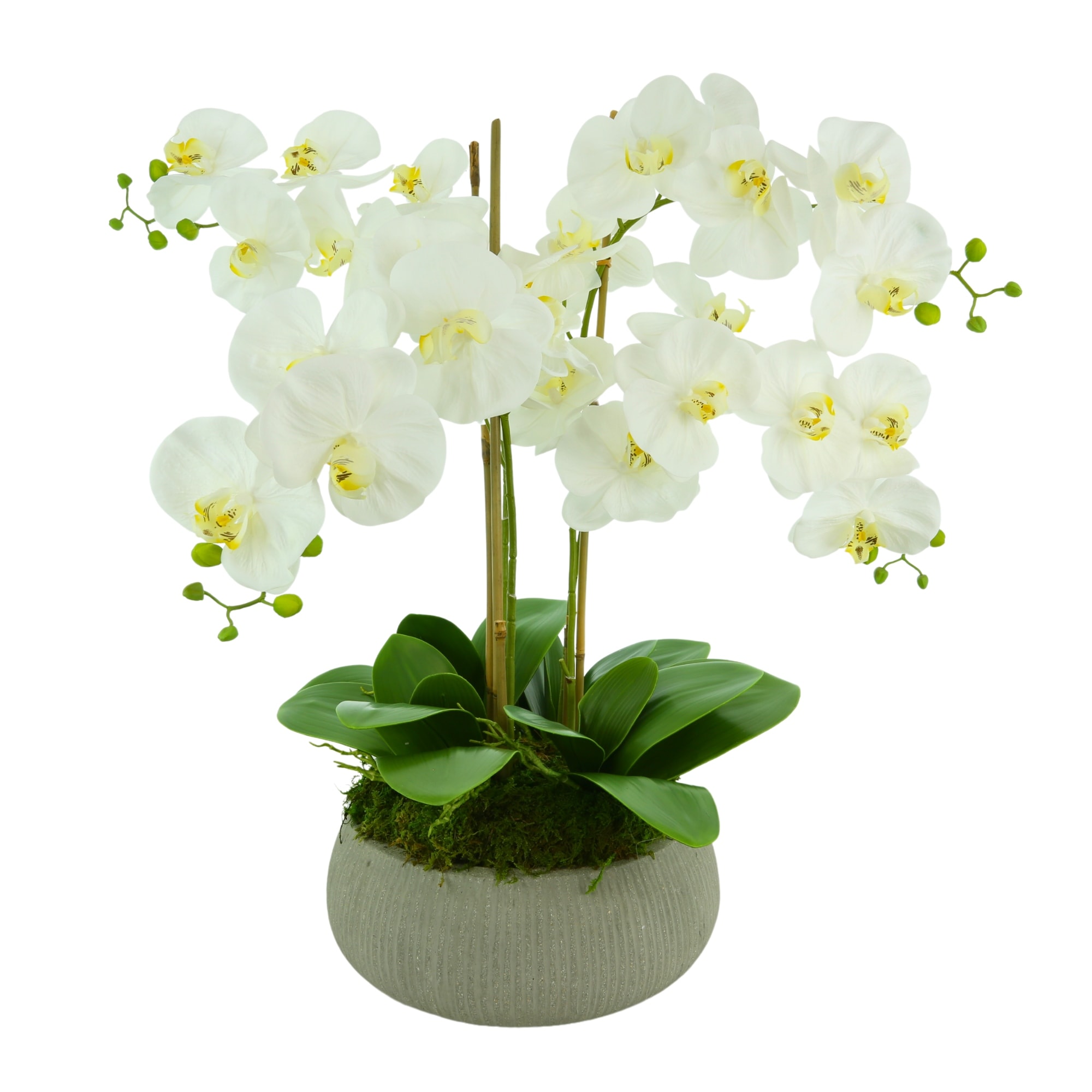 Orchid Arrangement in a Round Fiberstone Planter - White, Gray