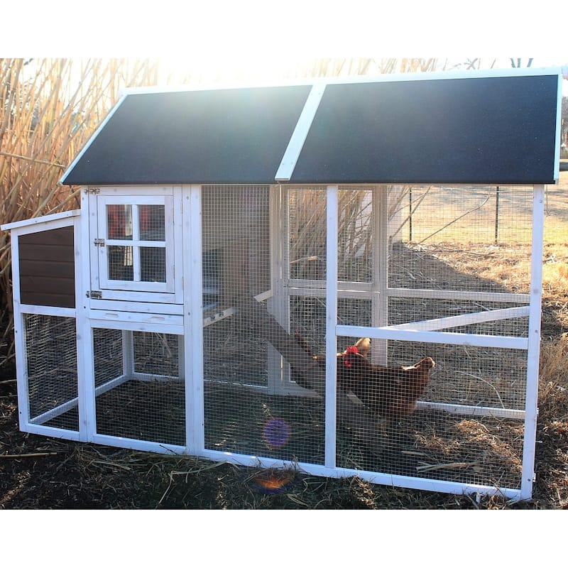 Zylina Superior Hen House
